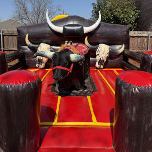BLACK MECHANICAL BULL