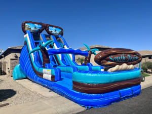18ft Dual South Beach Waterslide
