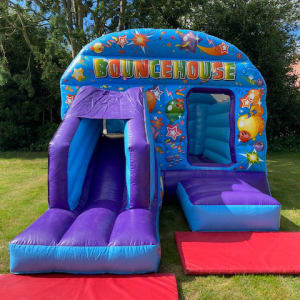 Carnival Slide and Bounce Bouncy Castle
