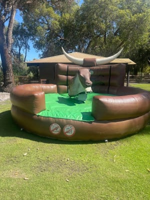 Mechanical Bucking Bulls