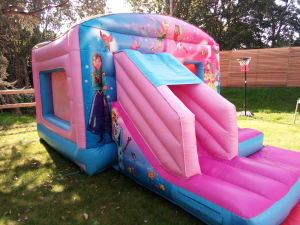 Princess Frozen Bouncy Castle With Slide Bouncy Castle Hire In Guildford Woking Aldershot Godalming Camberley Surrey