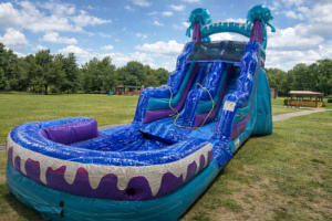 15ft Jellyfish Waterslide