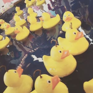 How to Play the Funfair Side Stall Hook a Duck Game Hook a Duck - How To Play