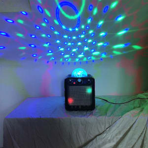 party rocker express