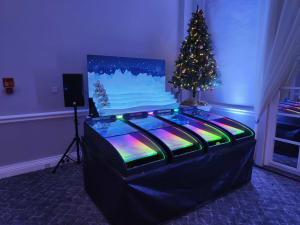 Roll a Ball Reindeer Racing Hire