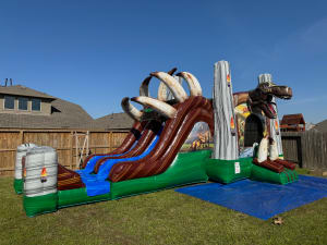 Bounce House Combos
