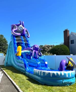 The Kraken