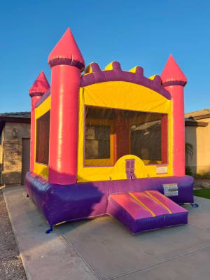 Classic Pink Bouncer