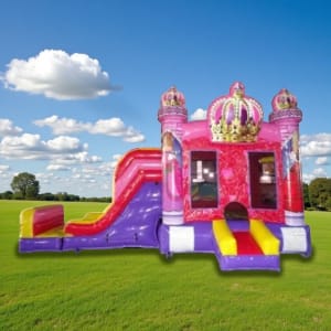 Princess Crown 5-1 Wet/Dry Combo