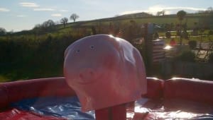 Rodeo Pig Hire