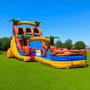 20' Fiesta Hybrid Double Lane Water Slide