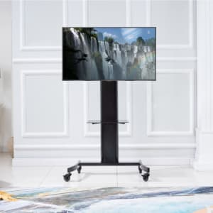 TV and Portable stand