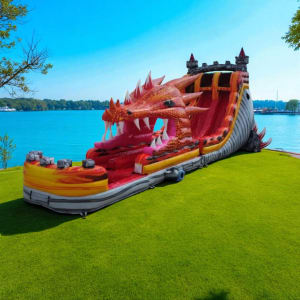 22' Dragons Reign Double Lane Water Slide