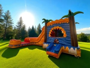 Rasta Splash Curve Combo