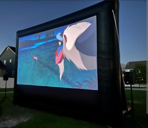 30 Ft Movie Screen