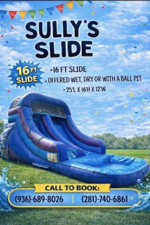 Sully Slide (16 ft)