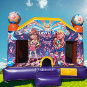 It's a Girl Thing Bouncer