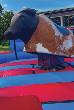 Rodeo's & Simulators