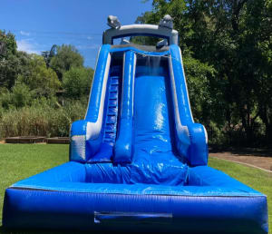 20ft Dolphin