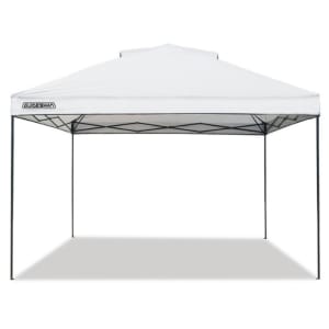 12' x 12' Tent