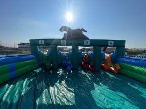 Inflatable Grand National Horse Race