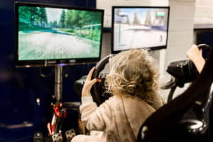 Twin Race car Simulator