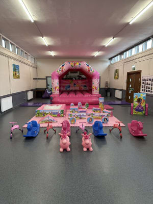 Premium Pink Party Package