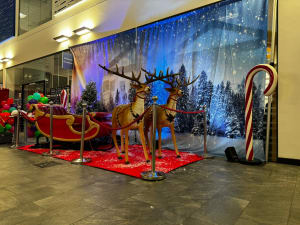Santa's Sleigh & Reindeer Prop