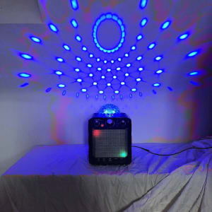 party rocker express