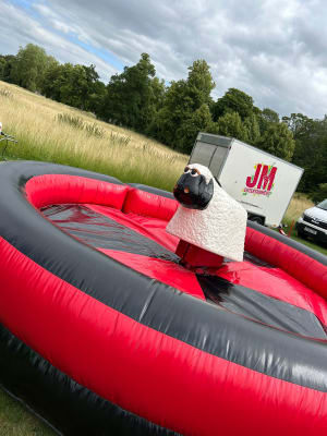 Rodeo Sheep Hire
