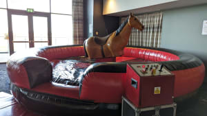 Rodeo Horse Hire