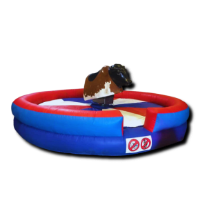 Rodeo Bulls