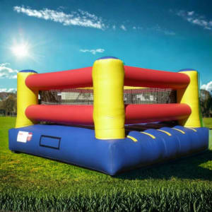 Bouncy Boxing with Gloves