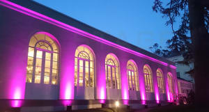 Outdoor Mood Lighting Hire