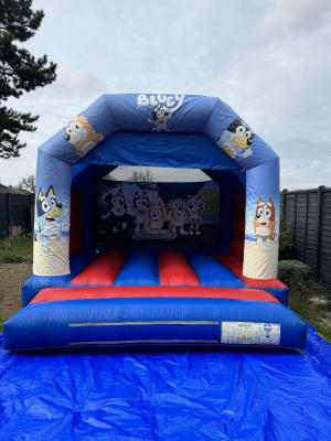Bluey castle 12x12
