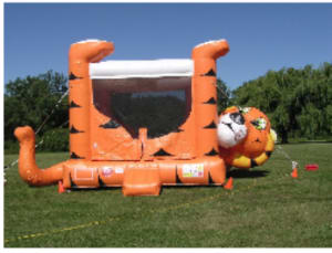 Bounce House & Combos