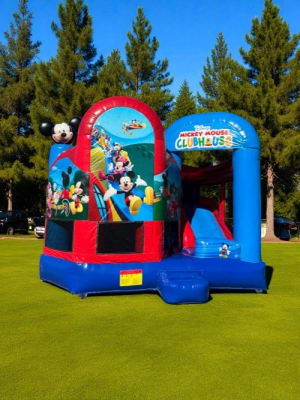 Large Mickey Mouse Clubhouse Dry Combo