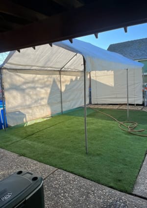 10x20 canopy