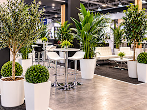 Tree & Plant Hire