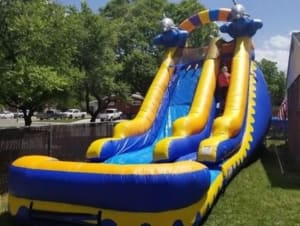 Dolphin Slip & Dip