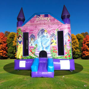 Disney Princess Bounce House