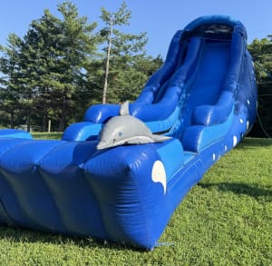 20ft dolphin
