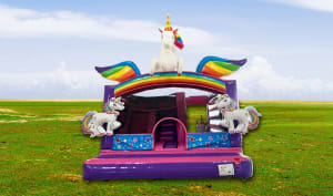 Unicorn Combi