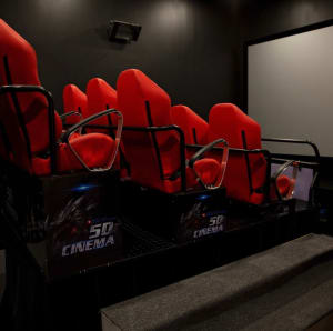 9D Cinema Dark Ride Experience