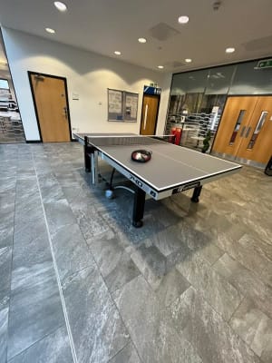 Table Tennis Hire Full Size