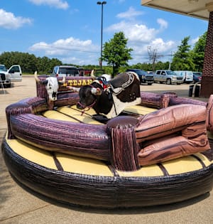 Mechanical Bull