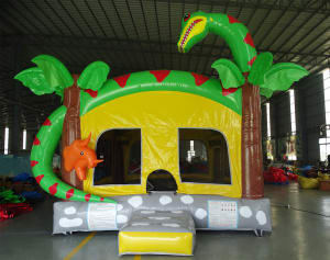 Dino Park Bounce House