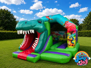 3D Dinosaur Front Slide Combo