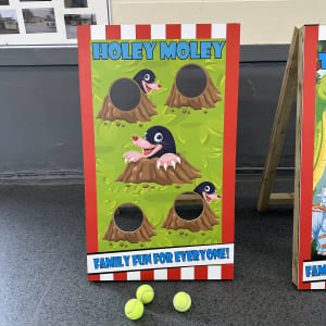 Target Holey-Moley hire
