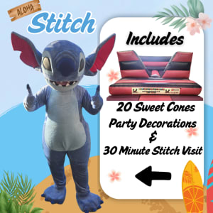 Stitch and Bounce (Pink and Purple)